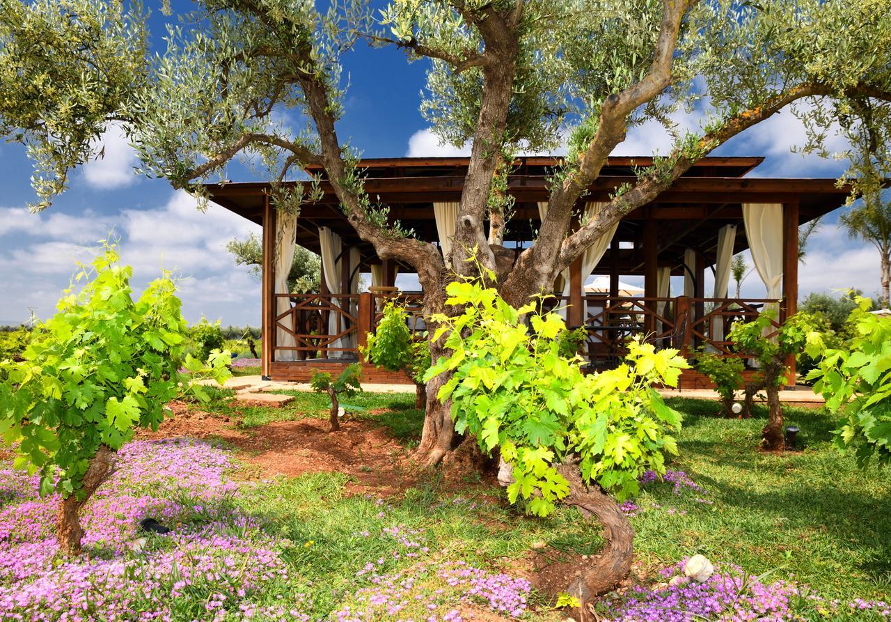 Chateau Roslane Boutique Hotel & Spa Μεκνές Εξωτερικό φωτογραφία