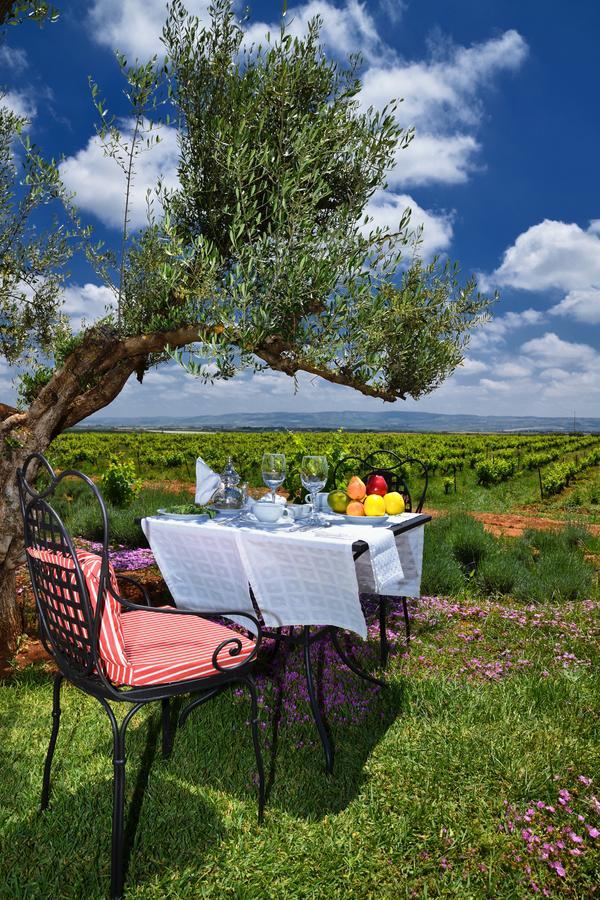 Chateau Roslane Boutique Hotel & Spa Μεκνές Εξωτερικό φωτογραφία